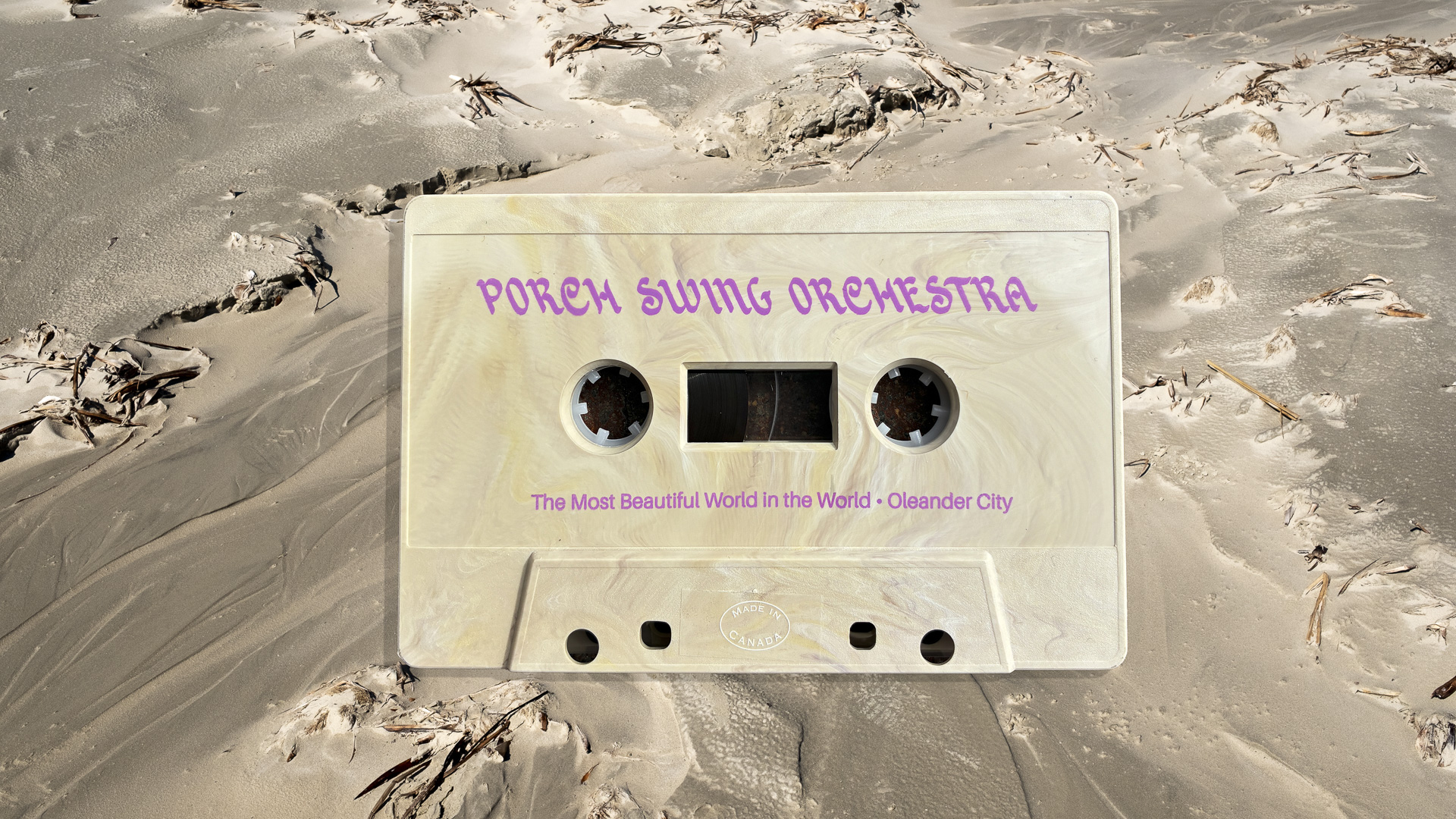 Slow Bell cappuccino swirl cassette shell on Galveston beach