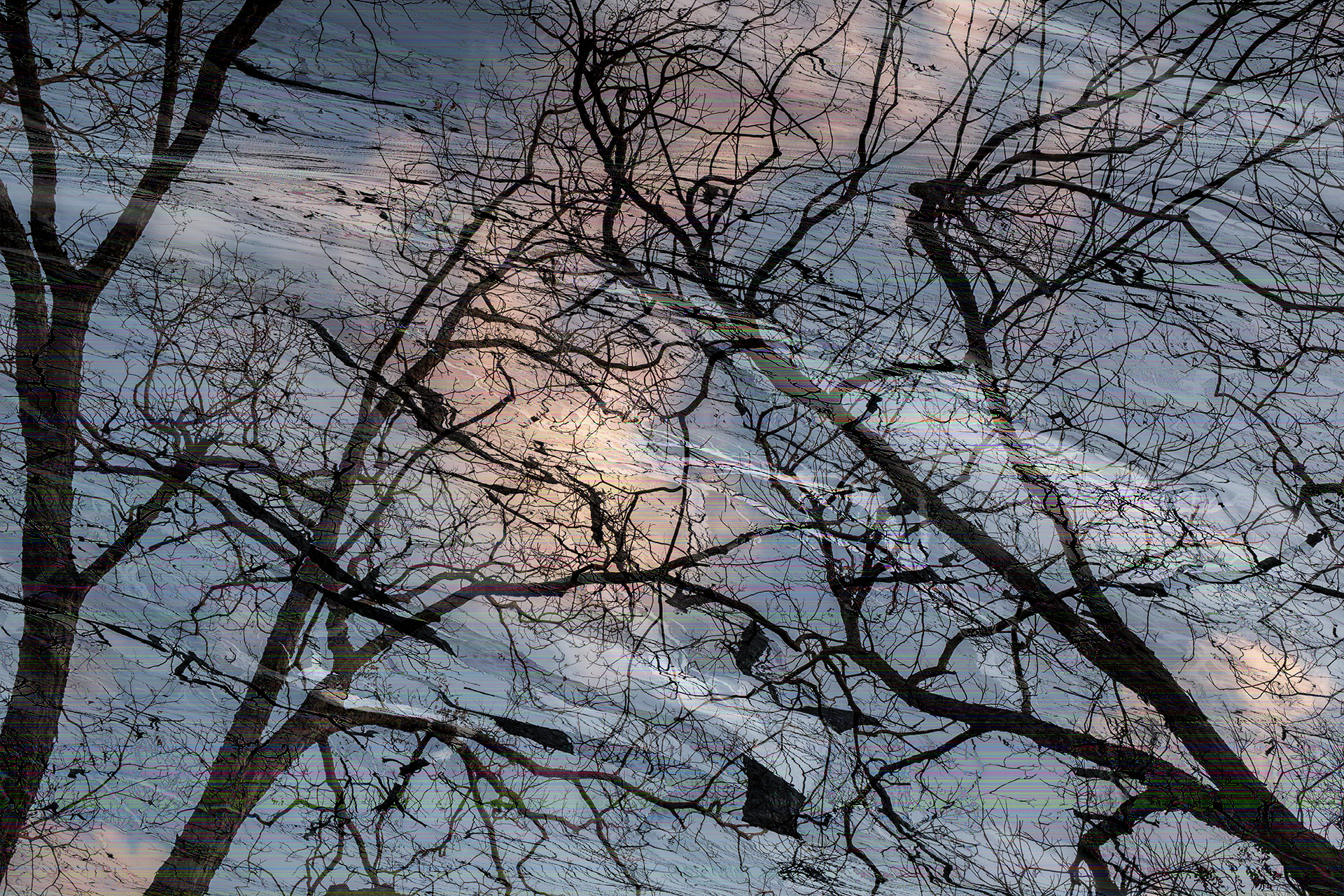 Porch Swing Orchestra