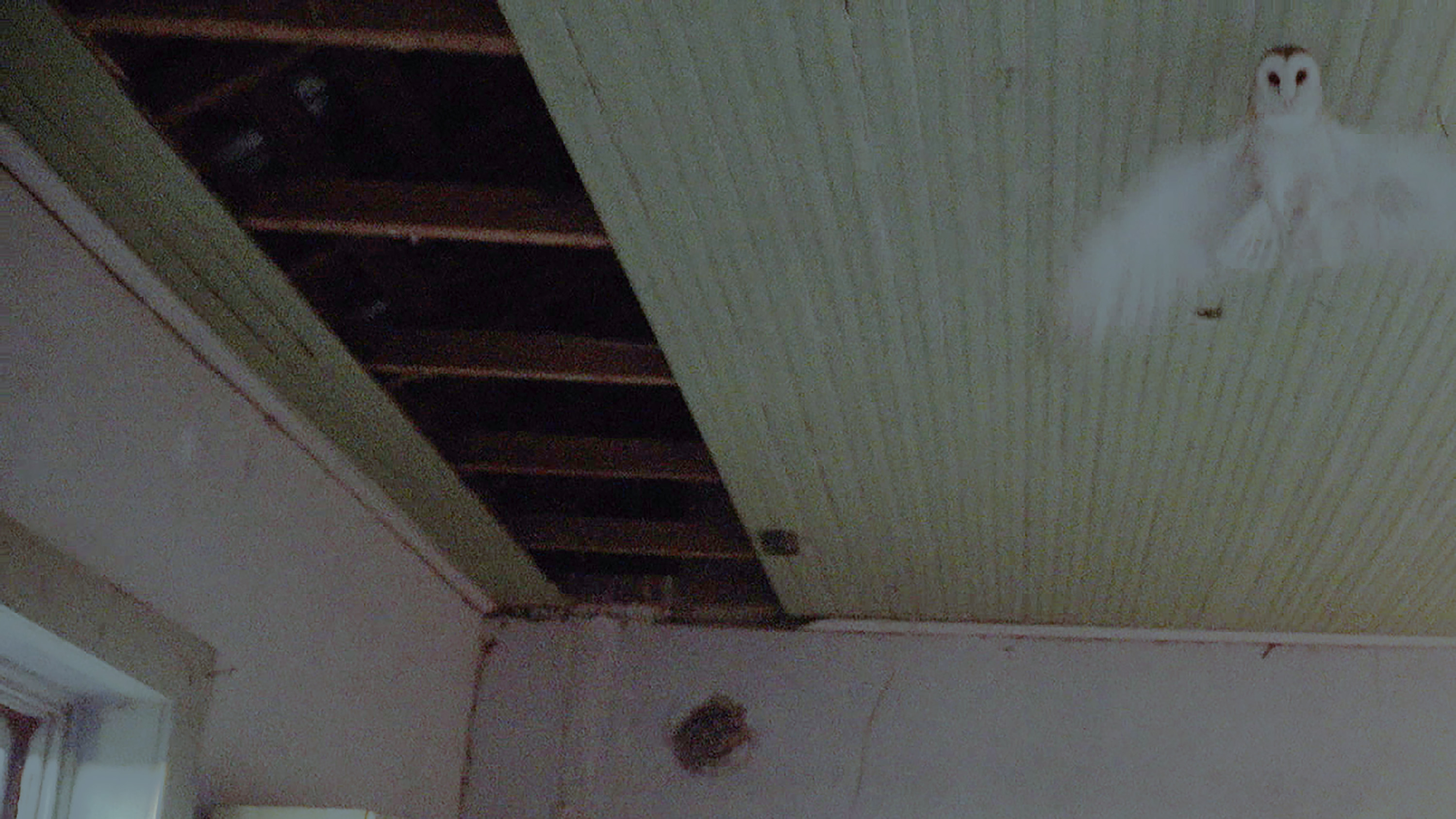 Porch Swing Orchestra